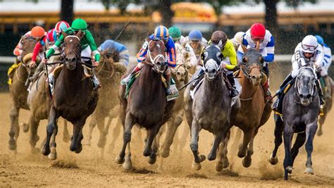 belmont stakes lineup 2022.